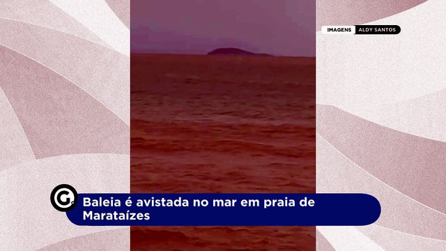 Baleia é avistada no mar em praia de Marataízes
