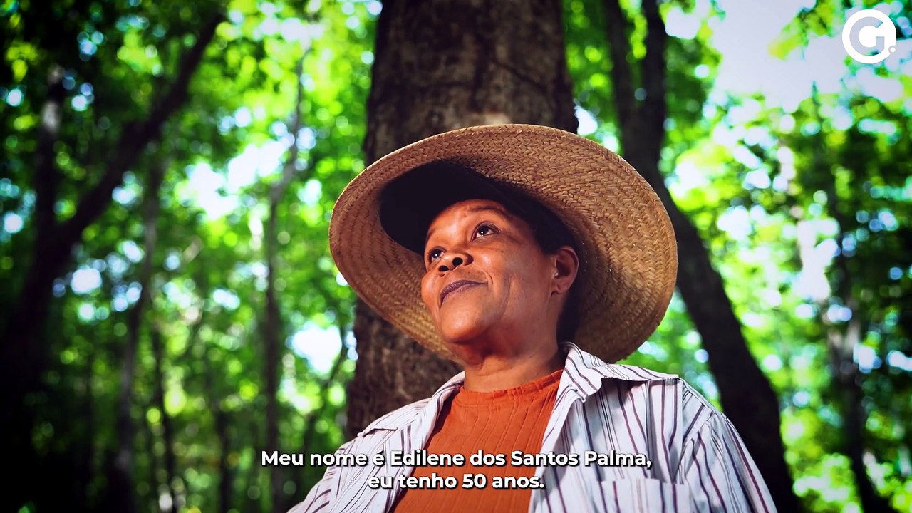 Tradição protege árvores e garante produção de...