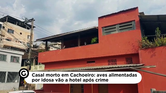 Casal morto em Cachoeiro: aves alimentadas por idosa vão a hotel após crime