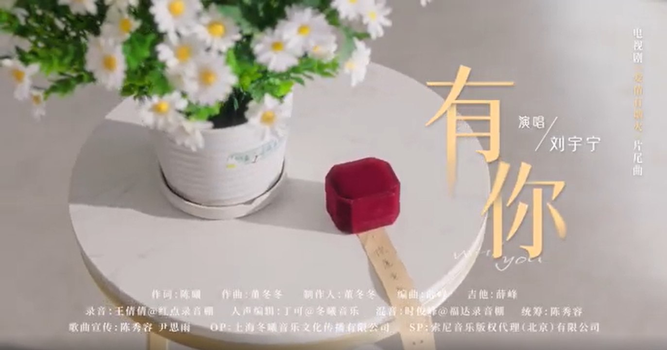 劉宇寧-有你(電視劇《愛情有煙火》片尾曲)『等你歸於平淡家的燈光晝夜溫暖永遠的陪伴』#劉宇寧 #有你(電視劇《愛情有煙火》片尾曲)【動態歌詞/Lyrics Video】