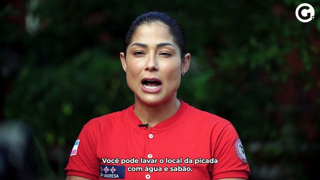 O que fazer em caso de picada de cobra ou escorpião?