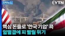 [자막뉴스] 핵심 돈줄로 '한국 기업' 콕...미국 동맹국, 뜯길 위기 / YTN