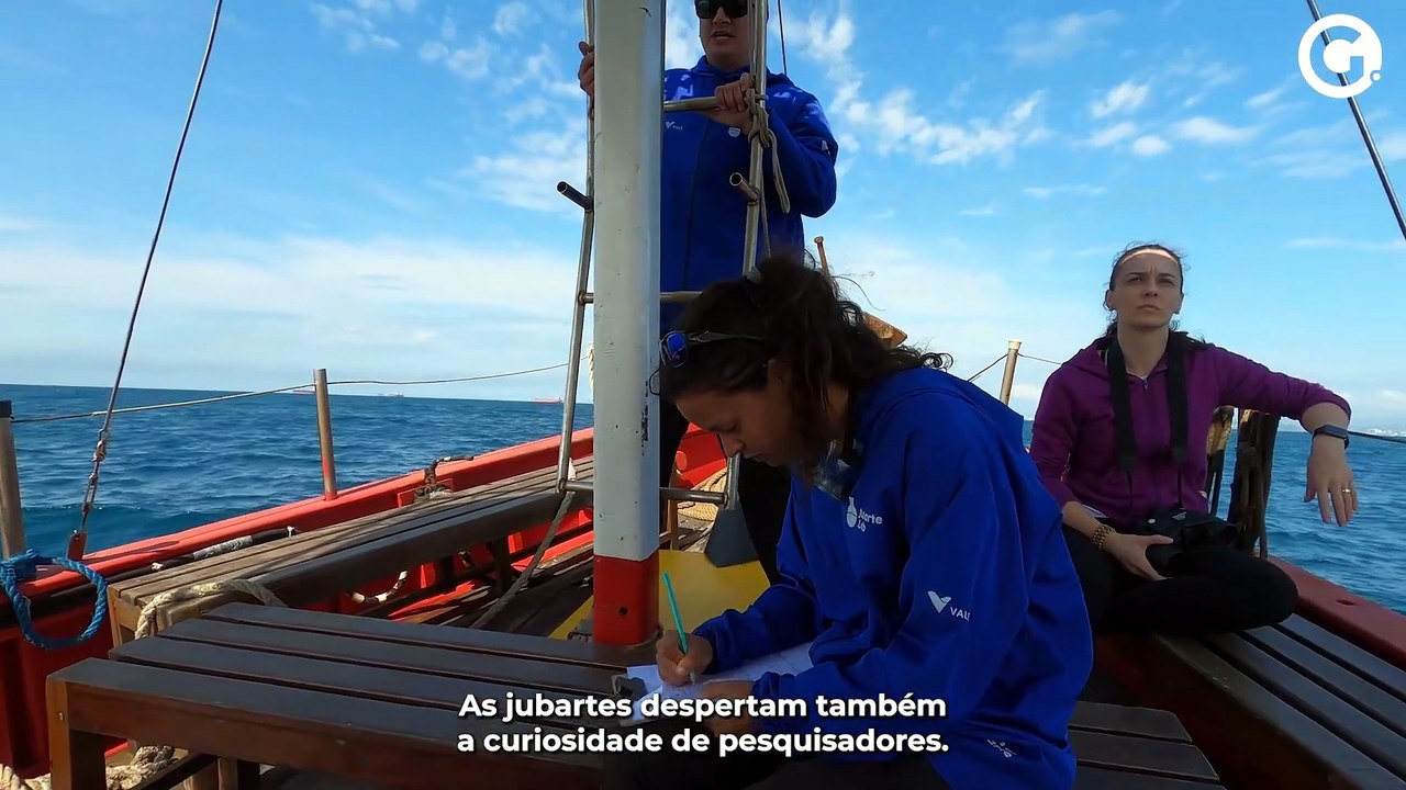 Tesouros Capixabas: Baleia-jubarte vira arte no...