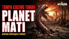Apa Jadinya Jika Semua Cacing Tanah Menghilang dari Bumi