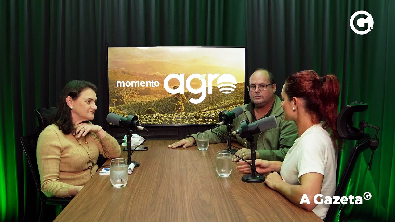 Videocast Momento Agro: comercialização do café conilon entra em nova fase