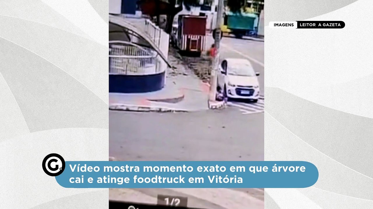 Vídeo mostra momento exato em que árvore cai e atinge foodtruck em Vitória