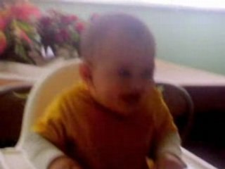 Tosun pasa Omer Faruk