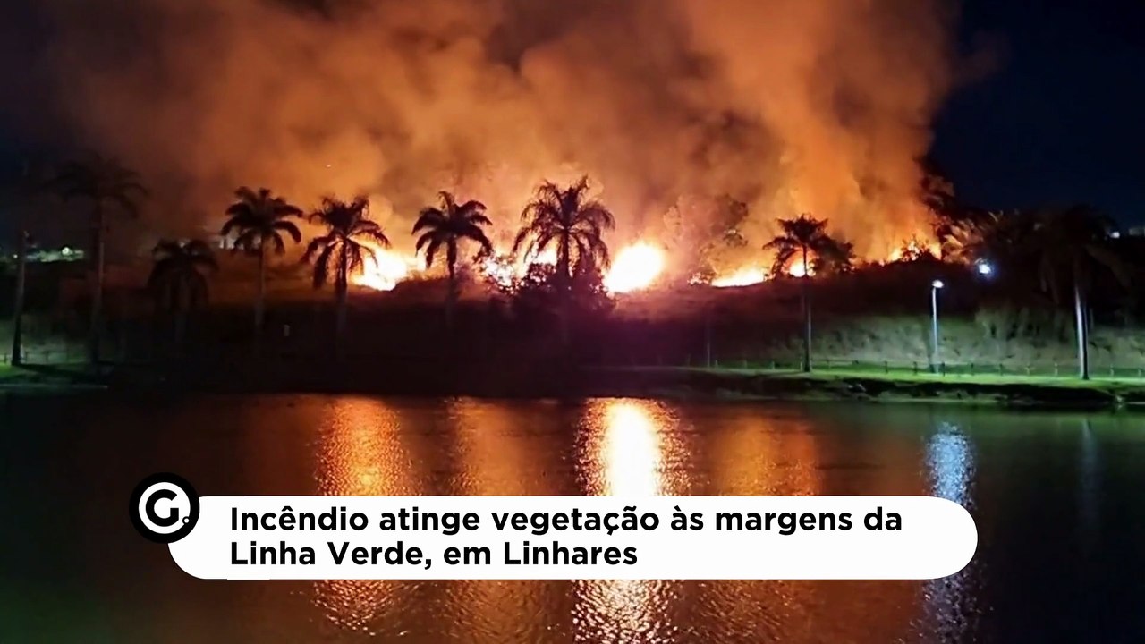 Incêndio atinge vegetação às margens da Linha Verde, em Linhares