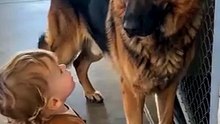 AI Video: Loyal Eyes, Gentle Heart, Endless Friendship