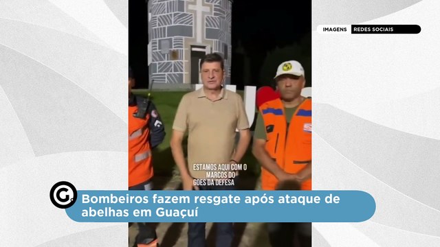 Bombeiros fazem resgate após ataque de abelhas em Guaçuí