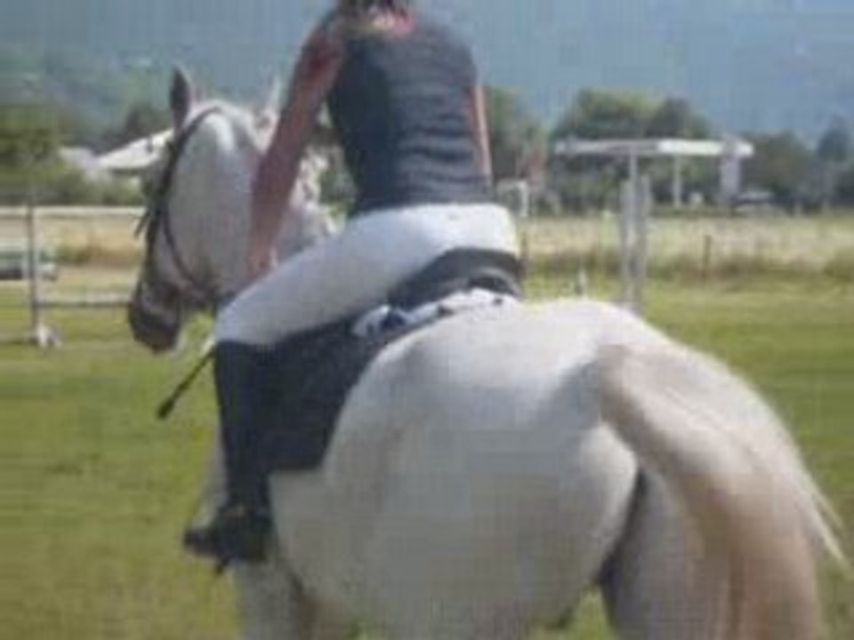 parcours hunter nelly