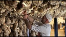 Culatello, il segreto del Po che ora conquista il re Carlo III