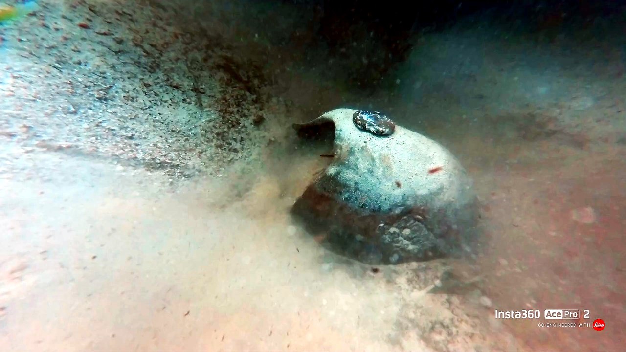 Archeologia subacquea, il video dei reperti recuperati a Lampedusa
