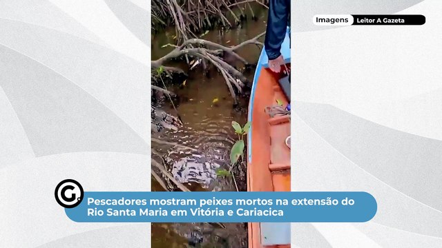 Pescadores mostram peixes mortos na extensão do Rio Santa Maria em Vitória e Cariacica