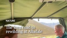Alladale Wilderness Reserve rewilding project restoring woodland and wildlife in the Highlands-1