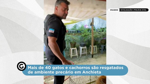 Mais de 40 gatos e cachorros são resgatados de ambiente precário em Anchieta