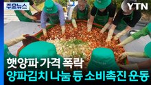 햇양파 가격 폭락...양파김치 나누기 등 소비 촉진 운동 / YTN