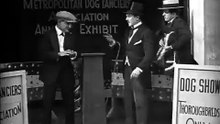 The Lucky Dog. (1921 film)