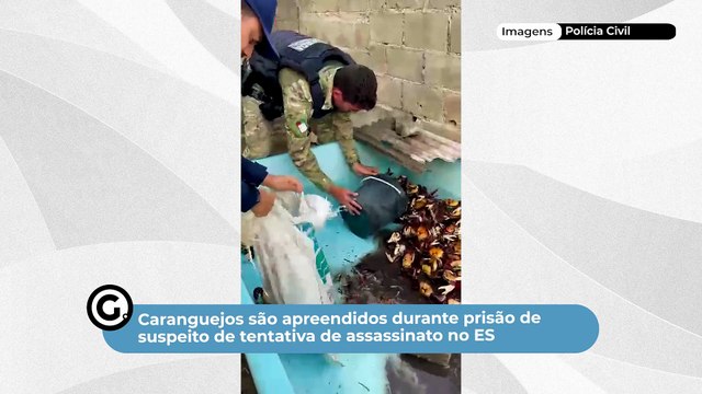 Caranguejos são apreendidos durante prisão de suspeito de tentativa de assassinato no ES