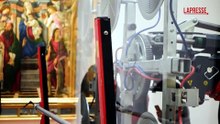 Uffizi, riaprono le sale del Botticelli: Venere guarda negli occhi Primavera