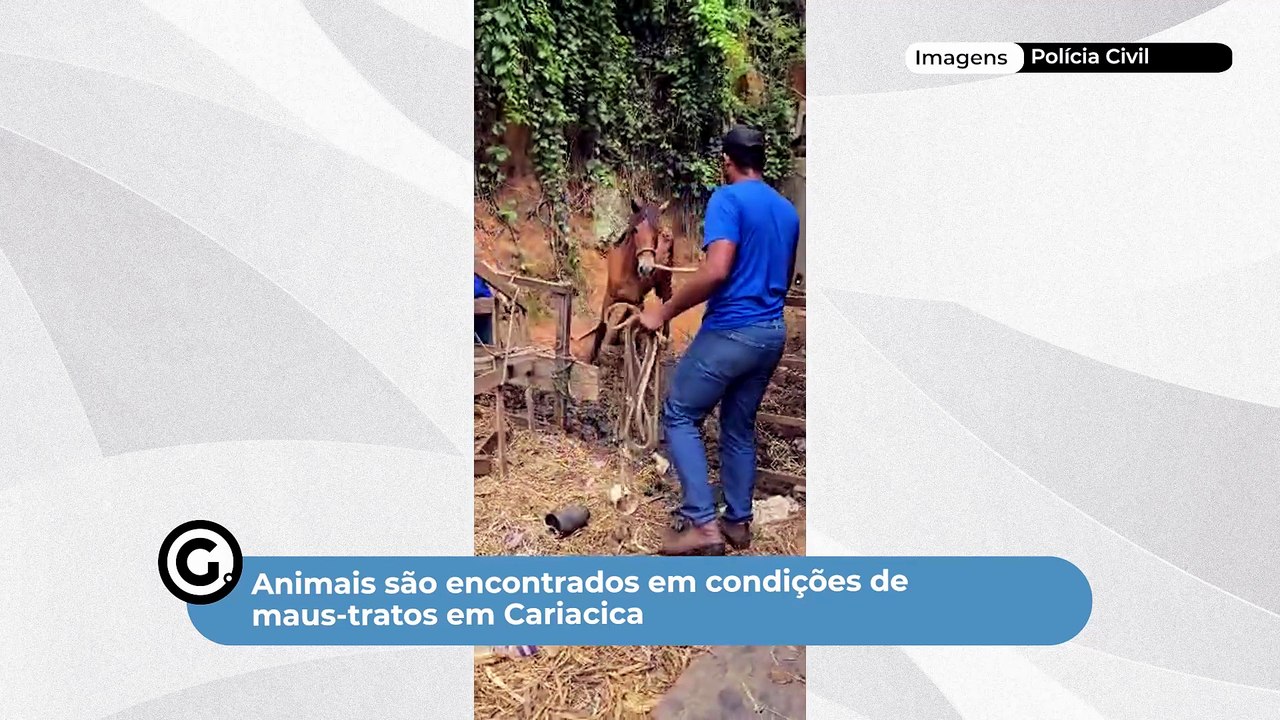 Animais são encontrados em condições de maus-tratos em Cariacica