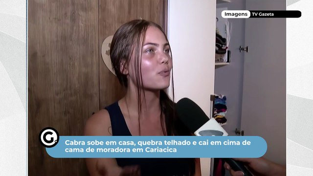 Cabra sobe em casa, quebra telhado e cai em cima de cama de moradora em Cariacica