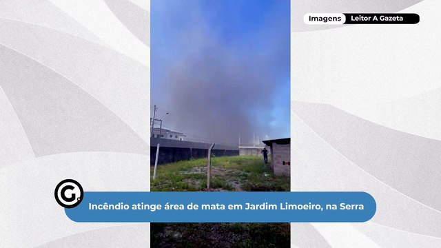 Incêndio atinge área de mata em Jardim Limoeiro, na Serra