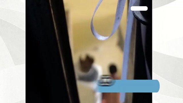 Cachorrinha é resgatada após flagrante de maus-tratos em Cachoeiro
