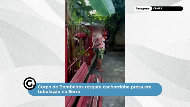 Corpo de Bombeiros resgata cachorrinha presa em tubulação na Serra