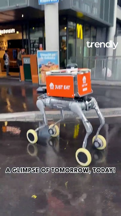 Shocking Robot Revolutionizes Lunch Delivery Experience