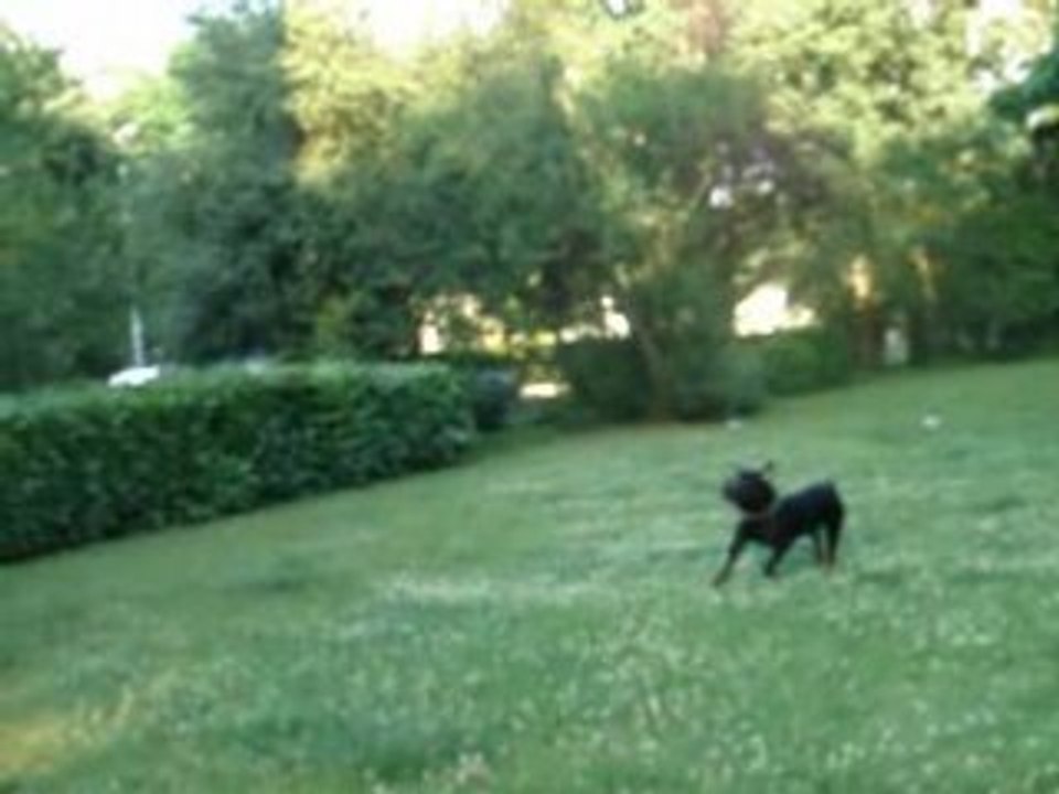 MOV04365