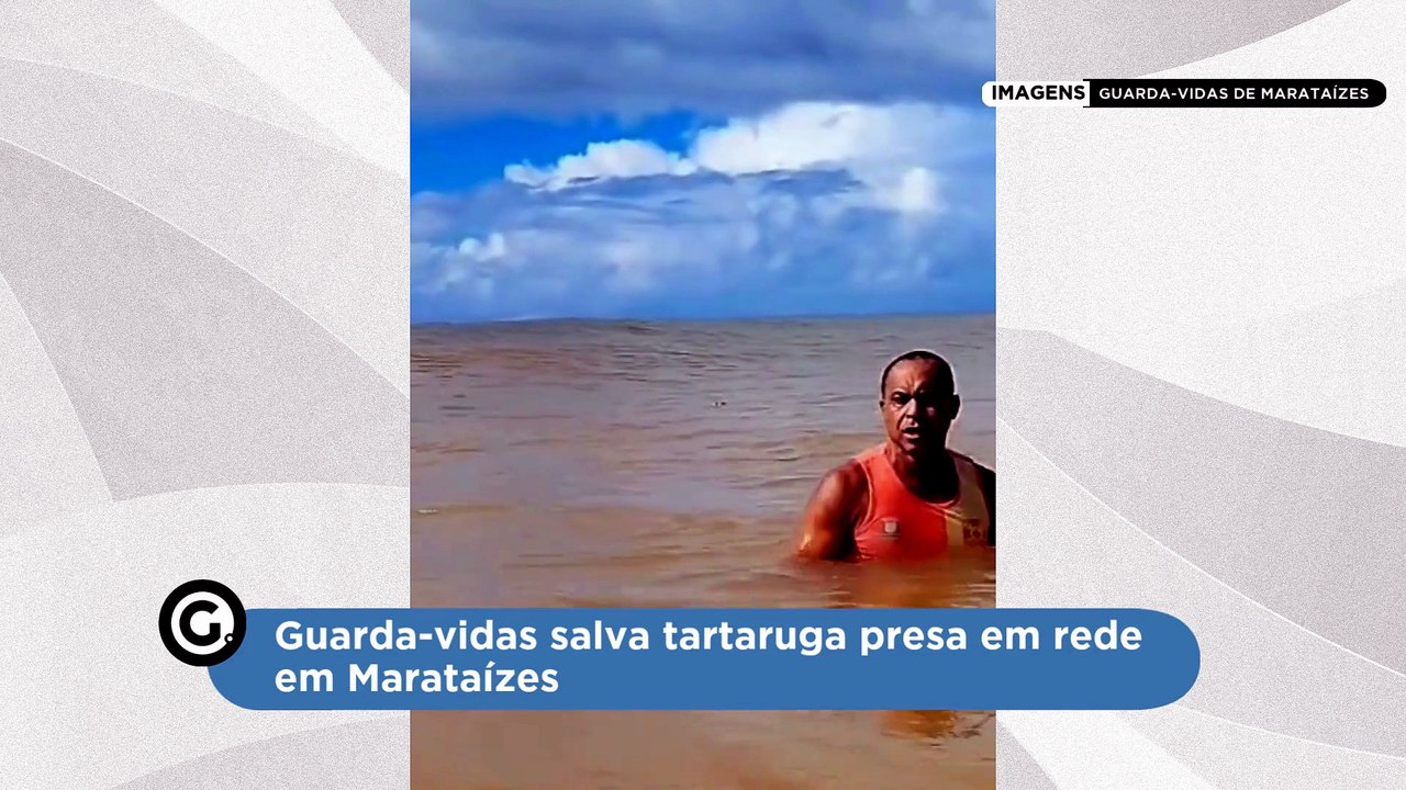 Guarda-vidas salva tartaruga presa em rede em M...