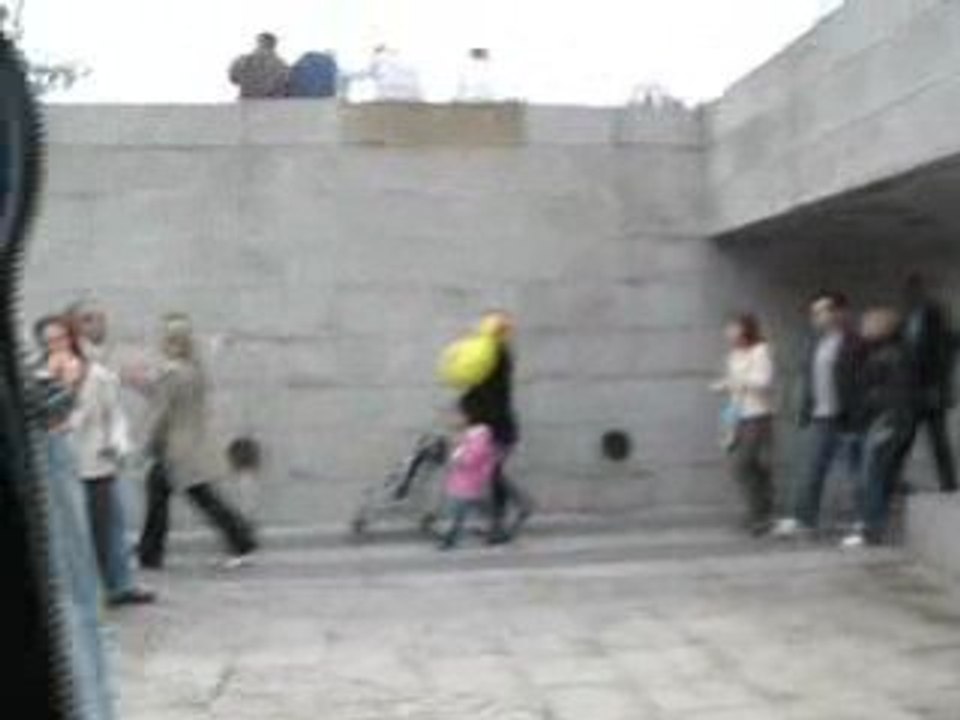 Oh mais il est tout petit le canard