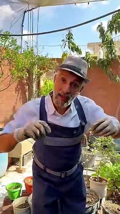 بقالب كوكوبيت هتزرع السطح كله  @youtubecreators #YuoTubeHighFive