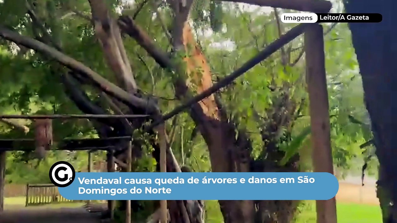 Vendaval causa queda de árvores e danos em São Domingos do Norte