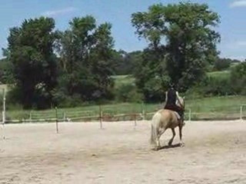 Entrée de dressage avec Captus.