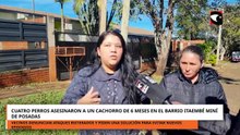 Posadas: vecinos de Itaembé Miní expresaron preocupación tras un nuevo incidente con perros sueltos