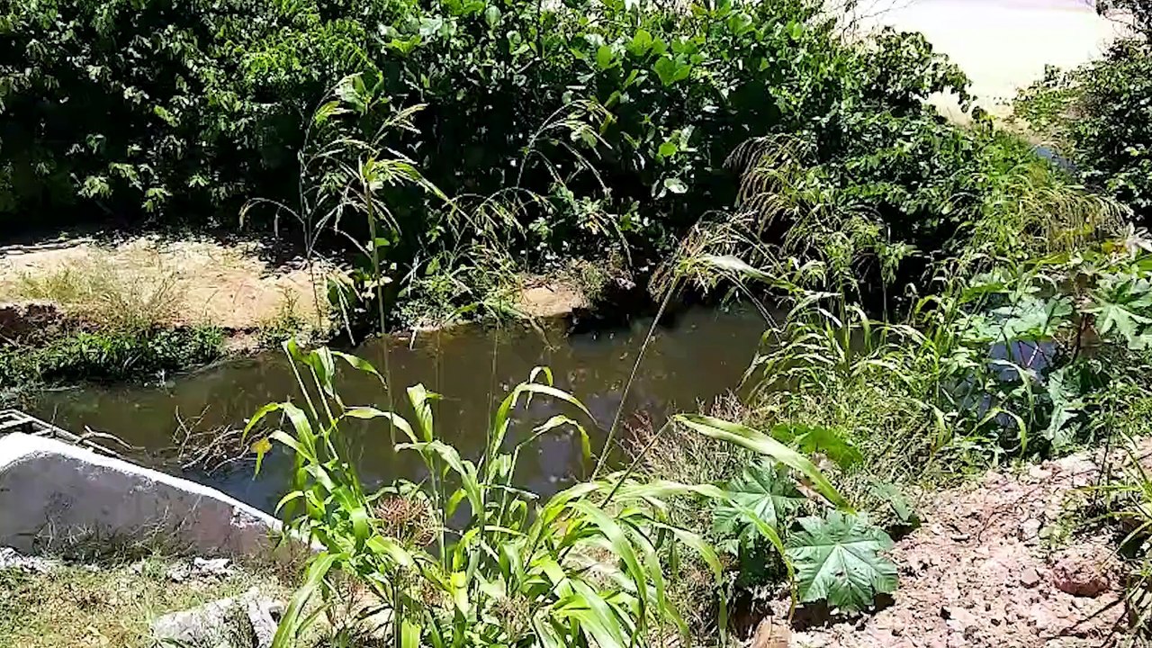 Vazamento de esgoto vai parar na praia em Ponta da Fruta