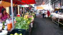 diretao LIXAO FEIRA PAAR