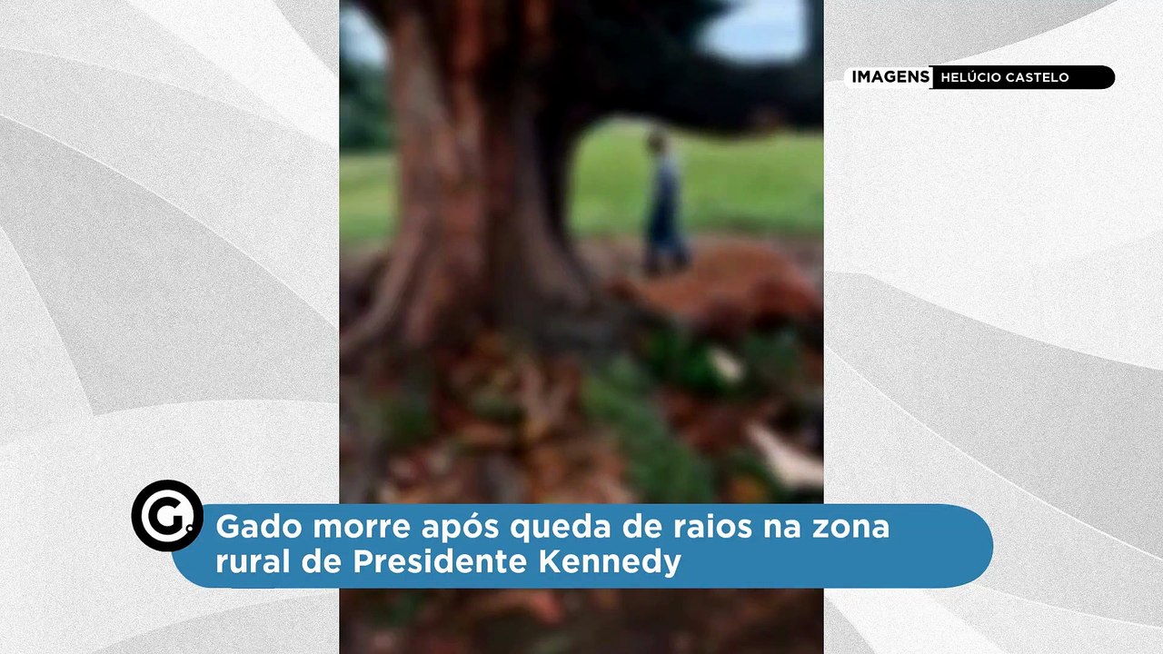 Gado morre após queda de raios na zona rural de Presidente Kennedy