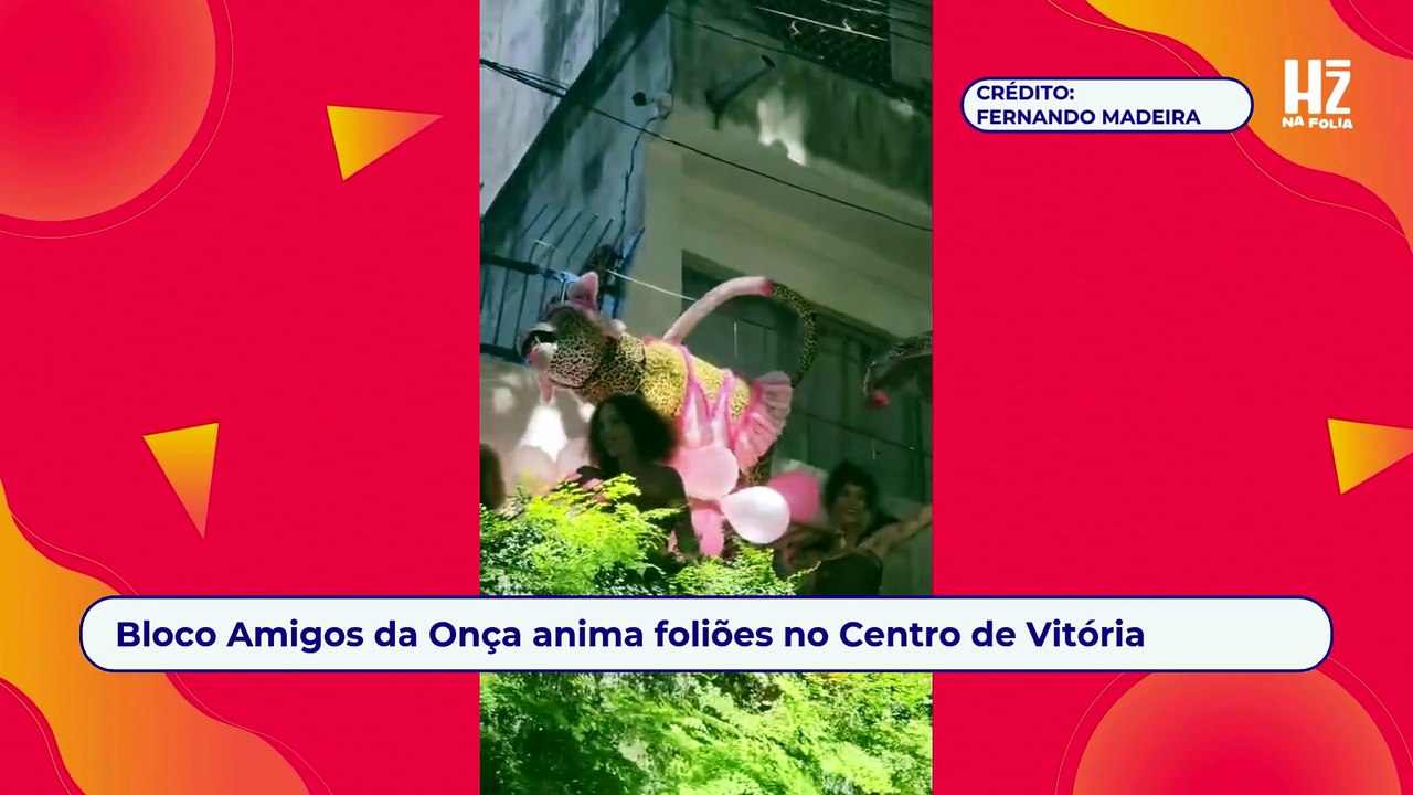 Bloco Amigos da Onça anima foliões no Centro de...