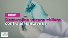 Desarrollan vacuna chilena contra el hantavirus