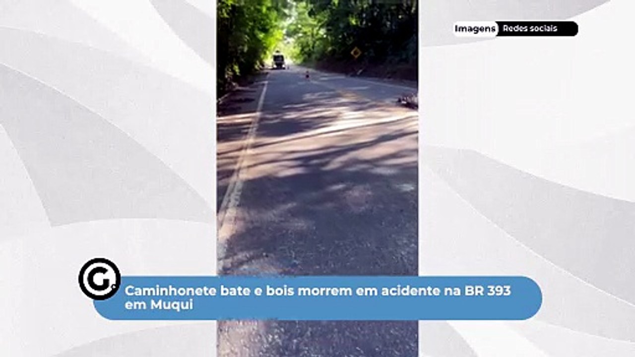 Caminhonete bate e bois morrem em acidente na BR 393 em Muqui