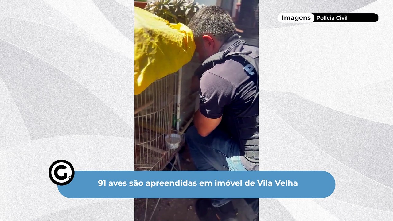 91 aves são apreendidas em imóvel de Vila Velha