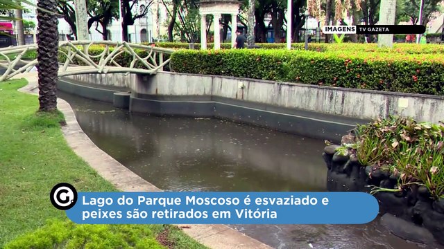 Lago do Parque Moscoso é esvaziado e peixes são retirados em Vitória