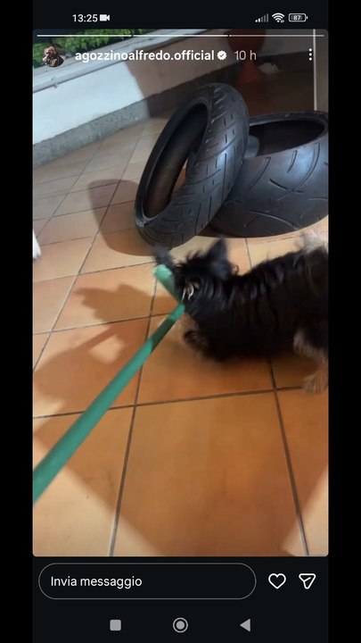 Agozzino Alfredo story con la piccola zaky