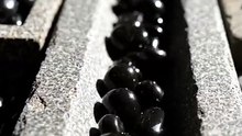 Obsidian Pebbles Sorted by Size 🖤✨ Satisfying Stone Arrangement