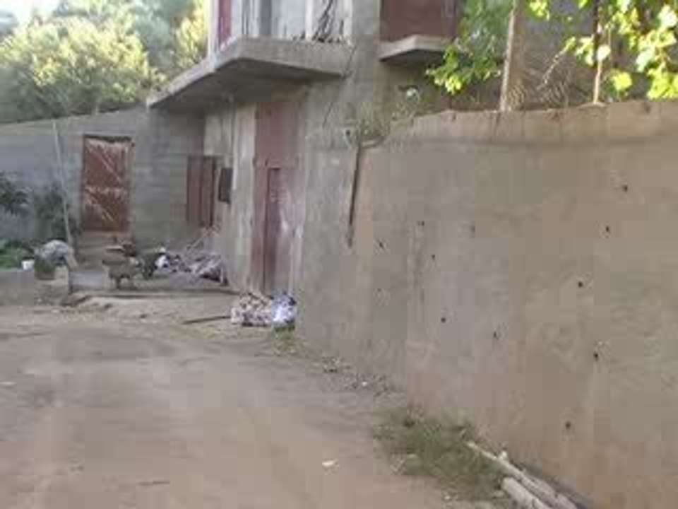 MOV031