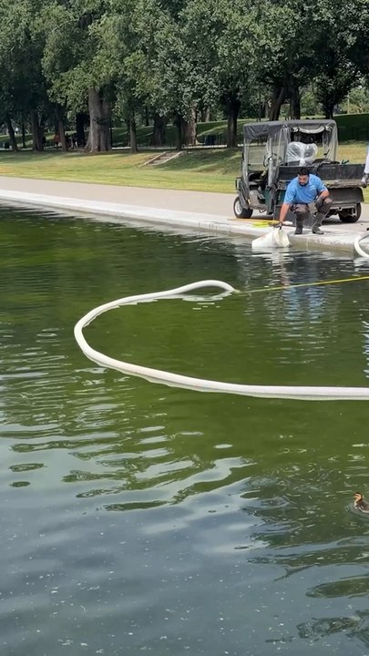 Hydrogen peroxide being to clean reflecting pool algae