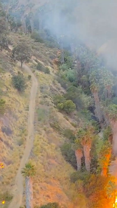 5-Acre Brush Fire Ignites After Arson Attack, Suspect Flees